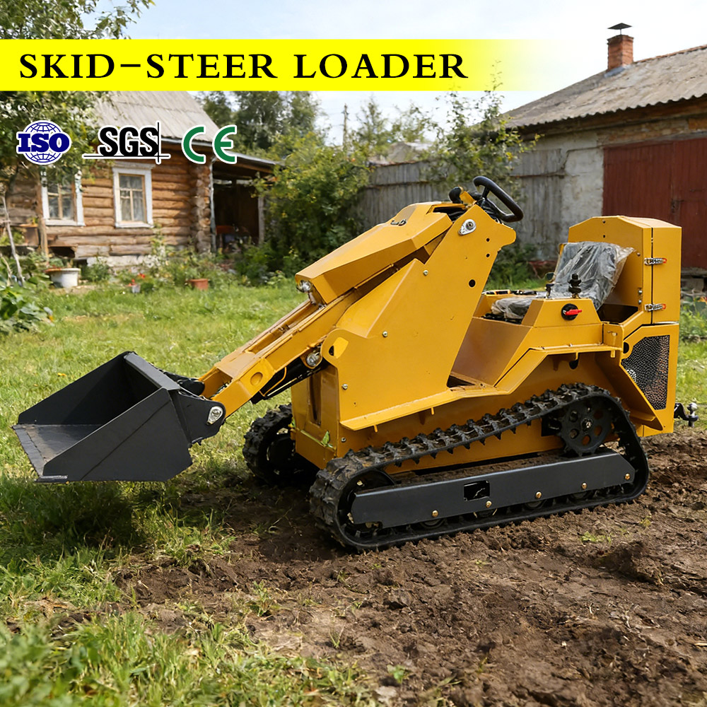 Minicargadora de Dirección Des - Heavy Equipment China Brand reseña y precio